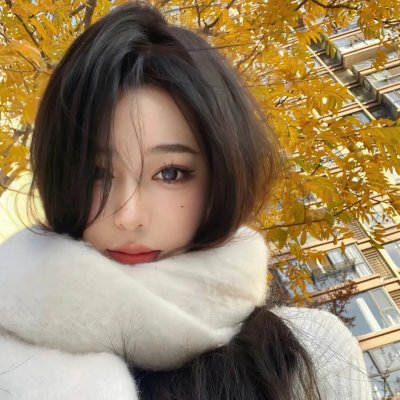飞吧!